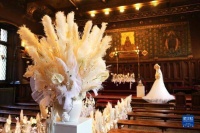 比利时布鲁塞尔迎来“鲜花时光”