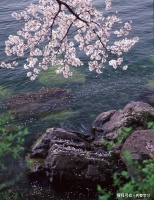 人生苦短，不要搞出那么多道德标准去要求自己和他人