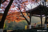 普通人靠的就是人生路上无数个愿意提携你、鼓励你、支持你、点拨你的贵人