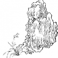 谁解其中味——红楼诗词书法赏析