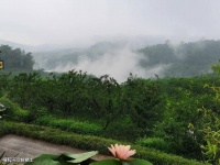 【古诗词鉴赏】唐代诗人高适《 封丘作》诗赏析