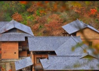 夜雨丨屿夫：立秋时生出许多牵挂