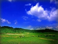 夜雨丨曾卓：七律·游仙女山