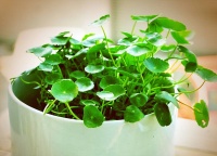 一个人闷声发大财的方法：反内卷思维