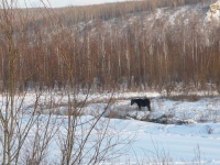 清凉书单 | 热҈的҈字҈都҈出҈汗҈了҈？书名即降温！（文末赠书）