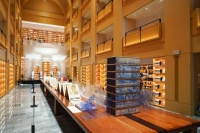 徐家汇书院开启限定版“阅光宝盒”！一站式享受特展与互动体验