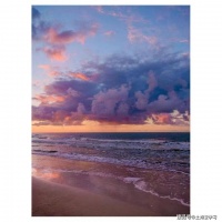 你掌握了人性，其实就啥都掌握了。