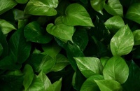 品读｜退休了，最让我恋恋不舍的是它