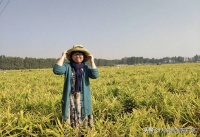 新晋茅奖作家乔叶：作品自有命运丨面孔