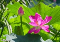 18句有力量感的诗词，第一句就很燃！