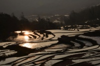 组图丨诗与光影