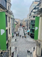 汪缘堂谈平民文化弊端