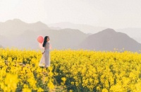 一个人最高级的情商：把扇子挡在脸上