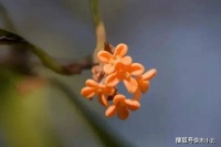 女人的这三种“累”，希望你一个也没有