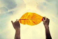 照亮绝路的，是那晚的警车车灯