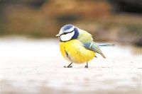 这个世界上 从此多了一个为我而生的童话