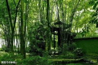 【古诗词鉴赏】宋代诗人王安石《钟山即事》诗赏析