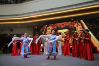 泰州海陵：文化活动进万家 惠民政策传千户