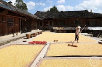 “秋韵”（57） | 上游主题摄影征稿作品展——杨敏作品