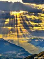 我们并不希望改掉弱点，只希望受到怜悯与鼓励