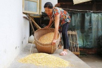 四川自贡道德模范兰琼英：事亲至孝，用温情谱写爱的乐章