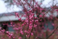 人到中年，远离身边这4种人，你的余生将越过越好