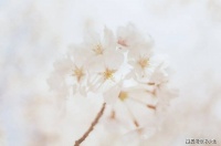 这两种“自带穷气”的人，尽早远离，才是最大的明智