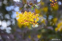 真正长久幸福的关系，大都离不开这两点