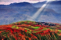 睡前思考的9句话，分享给大家！