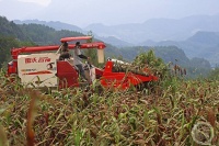 “秋韵”（65） | 上游主题摄影征稿作品展——赵勇作品