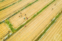 “秋韵”（66） | 上游主题摄影征稿作品展——龚长浩作品