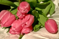 有这两个习惯的女人，男人多半都不会爱，很现实