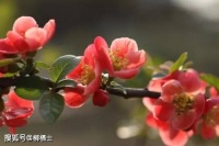 王金菊：给儿子十八岁成人礼的信