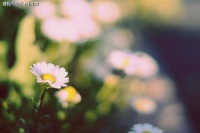 70岁退休老人心里话：只有闺女没有儿子的老人，老了是没有亲人的