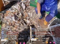 日本核污染水排海后，中国渔民直播间现大量恶评！专家发声→