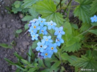 懂得顺其自然的人，才能过好这一生！