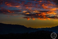 “秋韵”（76） | 上游主题摄影征稿作品展——谭昌藩作品