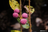 一个人，之所以很难有好运，是因为身上带着这两样东西