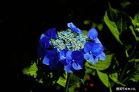 这两种亲戚，就算血缘关系再亲近，也要远离