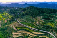 “秋韵”（77） | 上游主题摄影征稿作品展——冉小军作品