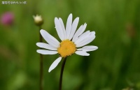 “不孝子女”一般都有这几个举动，老人60岁后就要为自己早做打算