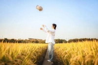 中年人最好的活法：穷时关门，丰时推窗，累了静坐