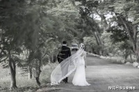 真正入了心的人，才会如此去爱你