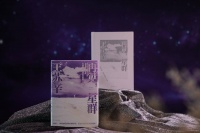 新书|王苏辛新作《再见，星群》：写给普通人的“远大前程”