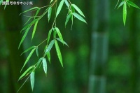 女人“经历”过太多男人，身上会有这几种味道