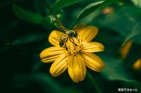 真正聪明的人，不会说这两句伤人的话，只有蠢笨的人到处说