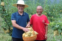 “秋韵”（93） | 上游主题摄影征稿作品展——周子杰作品