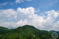 “秋韵”（97） | 上游主题摄影征稿作品展——冉小军作品