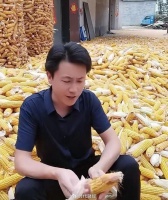 千万粉丝网红一夜塌房，疑似与合作伙伴闹掰，曾被举报欺诈51万