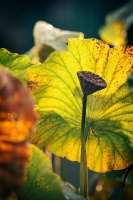 若有一天，我们的关系变得淡了，不删除，不联系，不回复